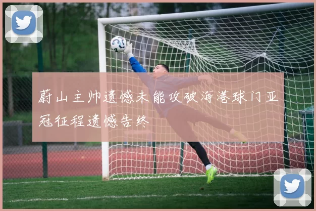 蔚山主帅遗憾未能攻破海港球门亚冠征程遗憾告终