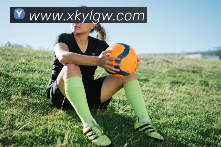 星空娱乐官网平台生态图